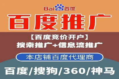 SEM代理实战：成功案例分享与经验总结